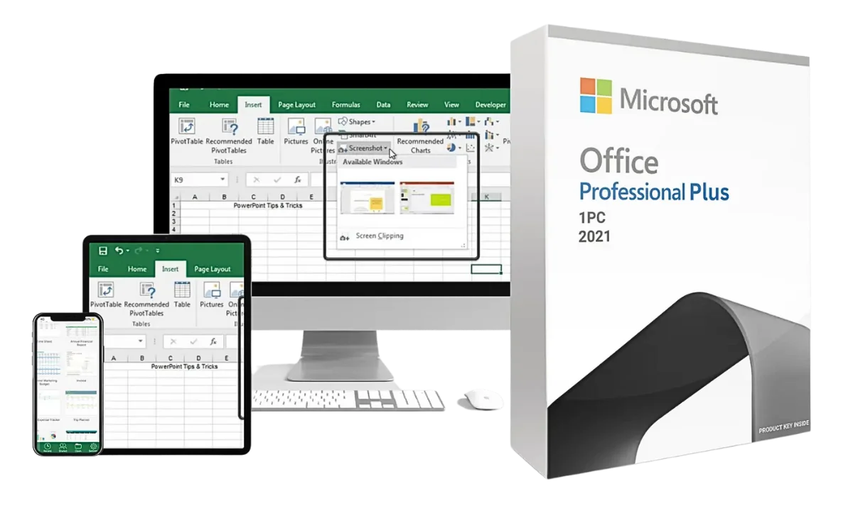 Buy Office Pro Plus 2021 Single User Lifetime key